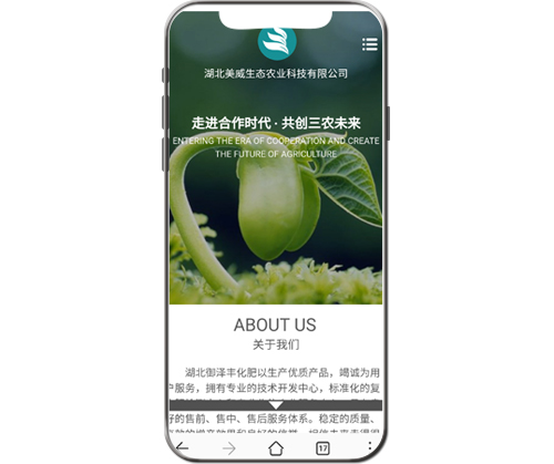 �����S����