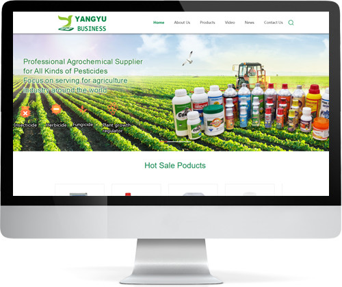 Hebei&nbsp;Free&nbsp;Trade&nbsp;Zone&nbsp;Yangyu&nbsp;Business&nbsp;Co.,&nbsp;Ltd